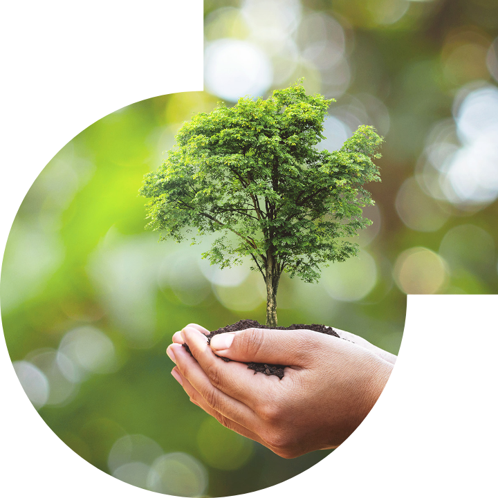 關懷人類、文化、環境與社會